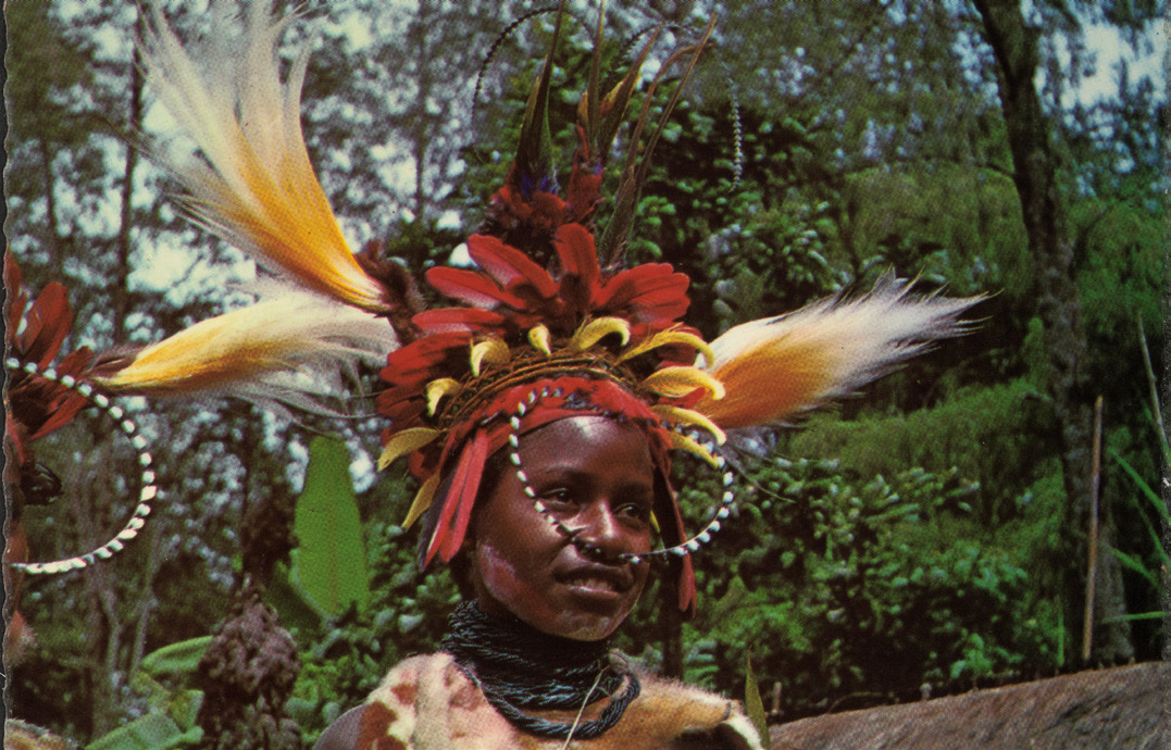 Visuel officiel de l'exposition Plumes du Paradis