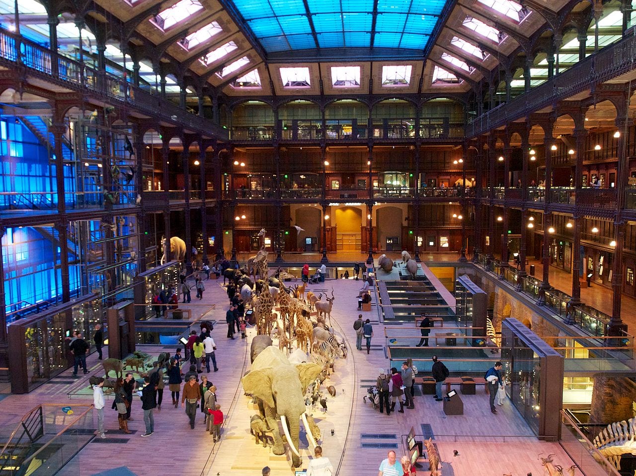 Visuel documentant Grande Galerie de l Evolution