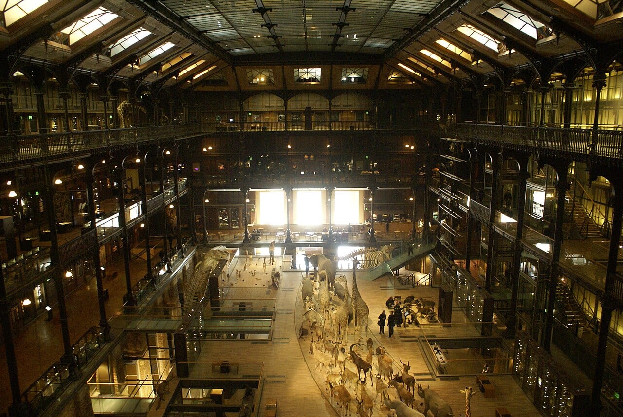 Visuel documentant Grande Galerie de l Evolution