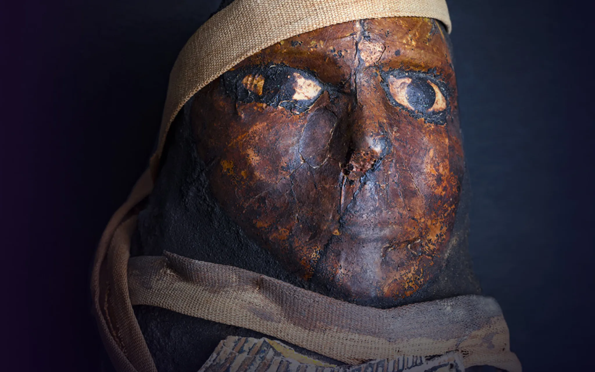 musée-de-l-homme 视角 图片